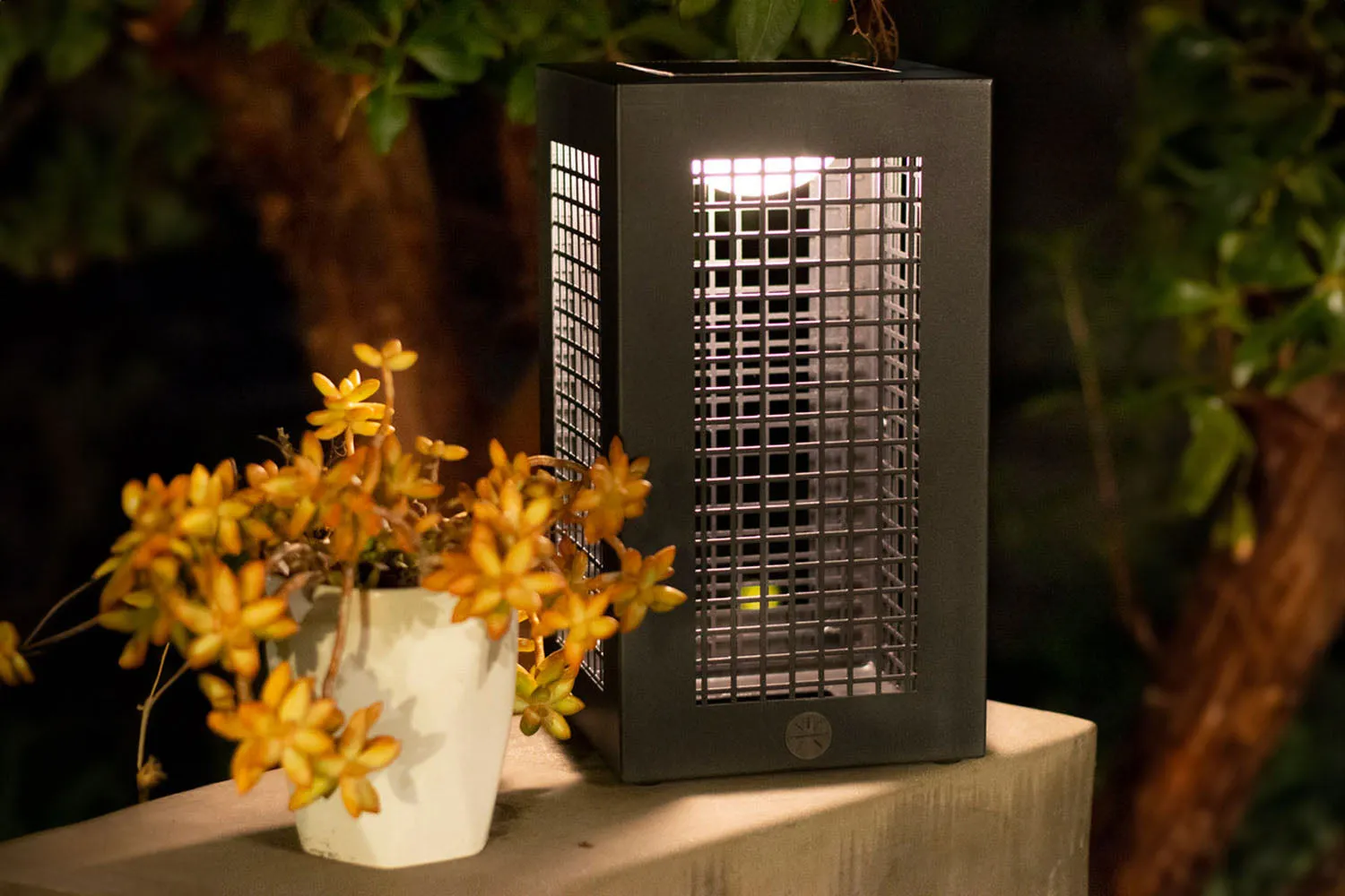 Les Jardins Koob Outdoor Solar LED Lantern