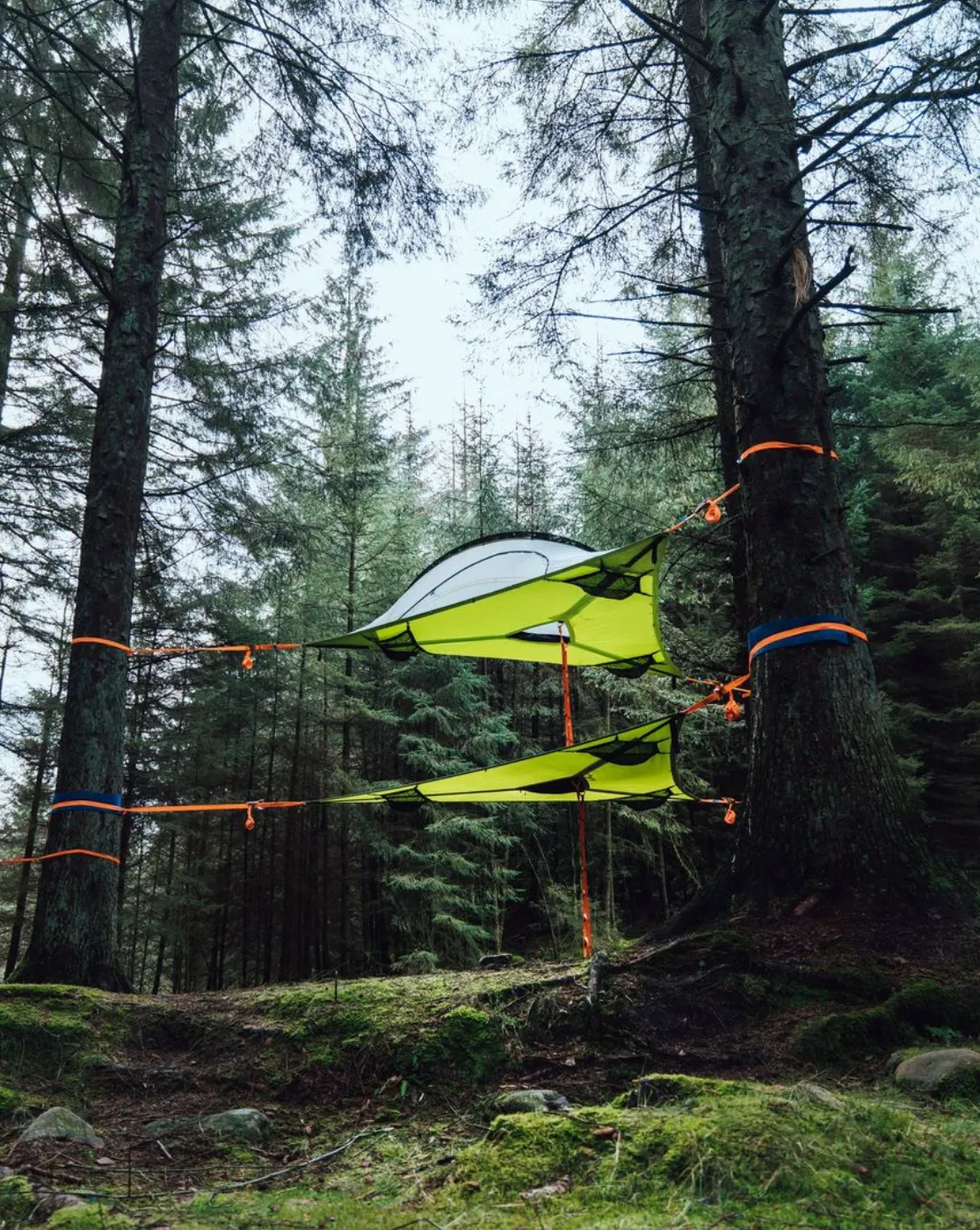 TENTSILE 6ft / 1.8m Lightweight Webbing Ladder (3.0)