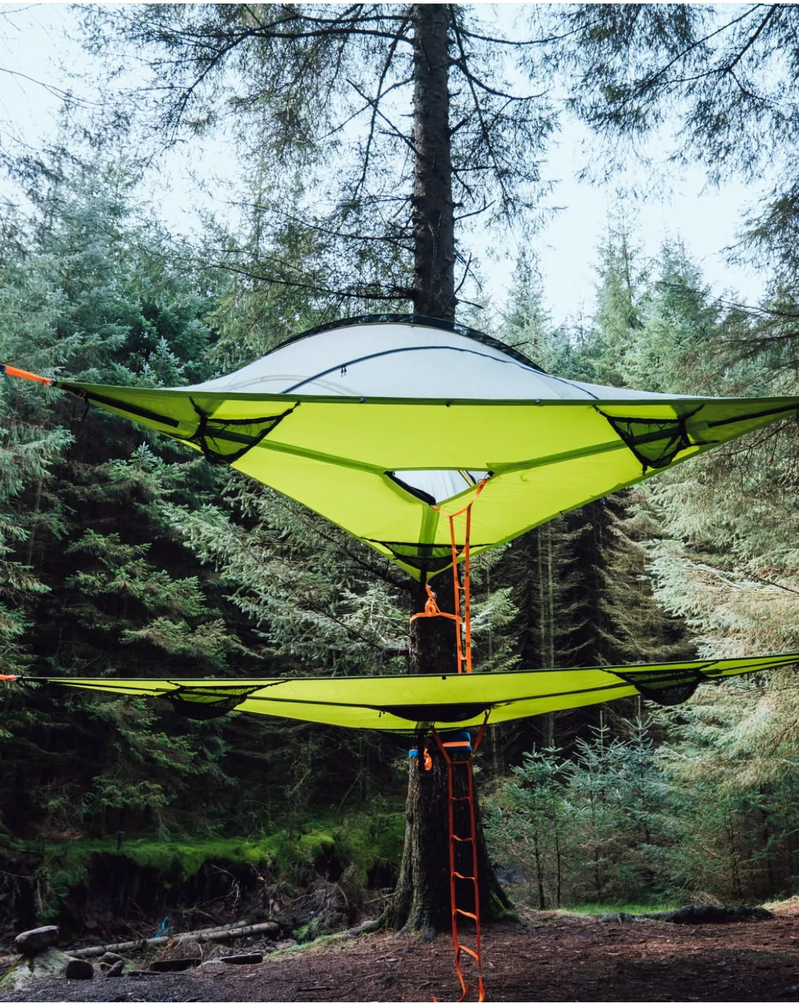 TENTSILE 6ft / 1.8m Lightweight Webbing Ladder (3.0)