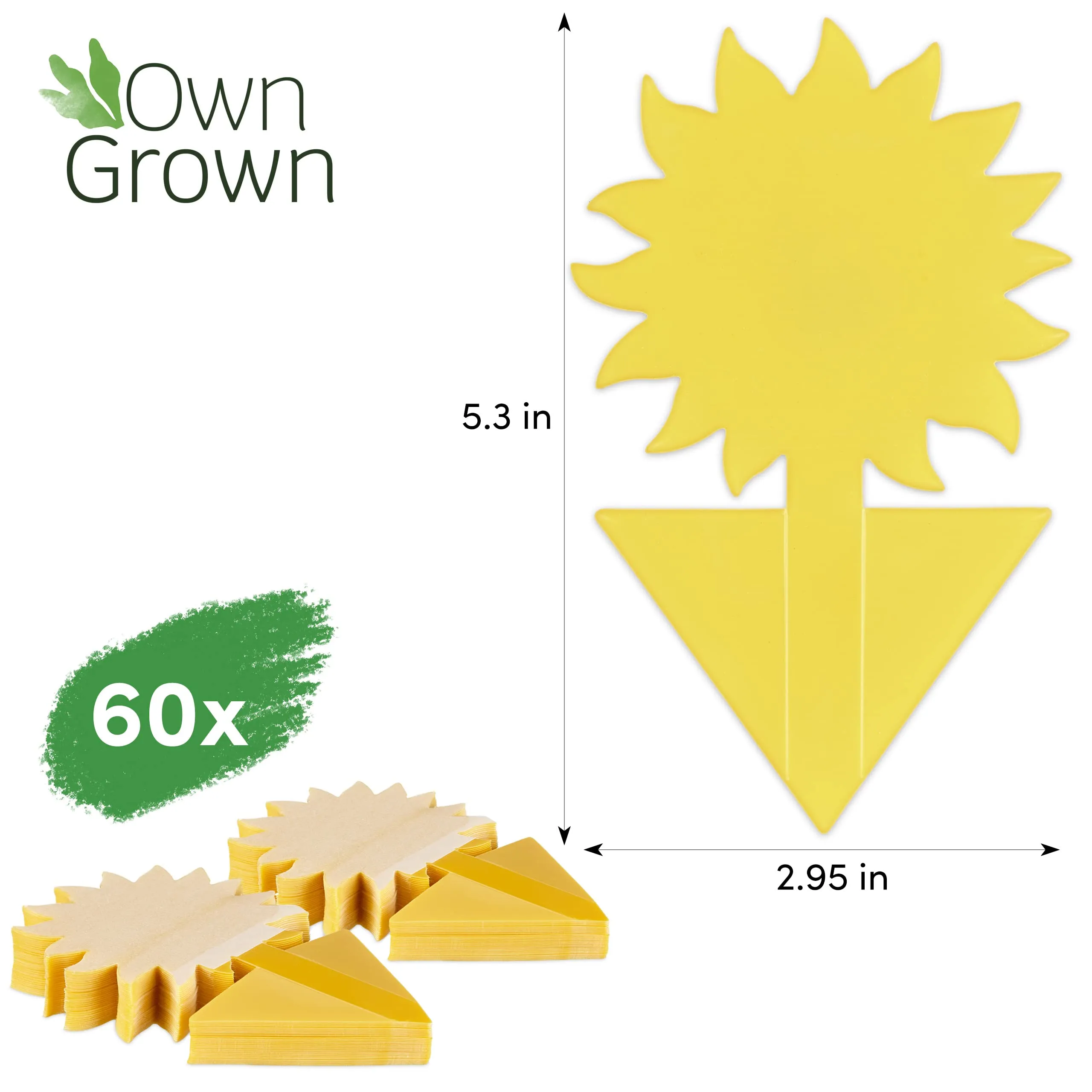 Yellow Sticky Traps For Gnats: 60x Sticky Fly Traps For Indoors  Gnat Traps